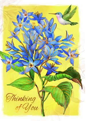 Thinking of you - Hummingbird